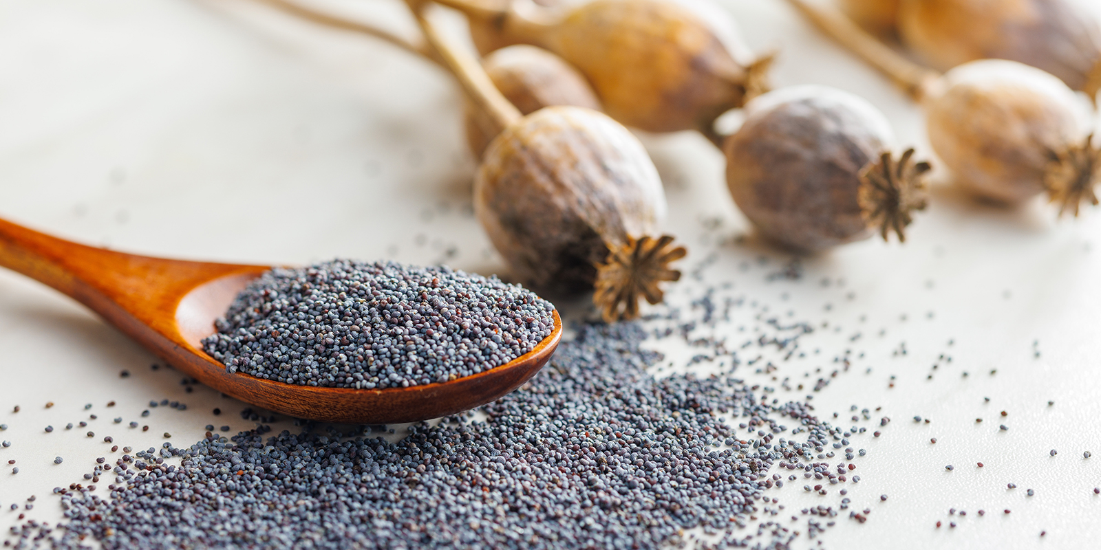 Mythe 9 : Les médicaments et aliments provoquent des faux positifs