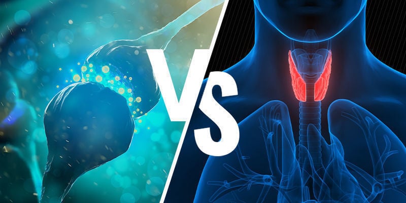 Système Endocannabinoïde Vs Système Endocrinien