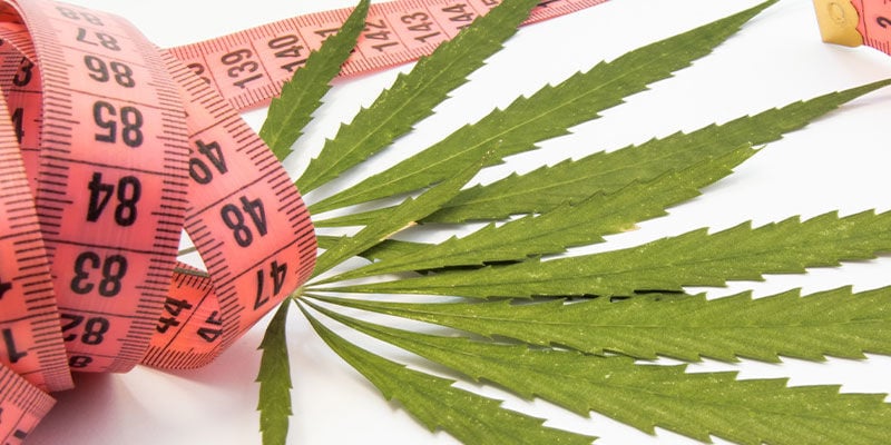 Comprendre le lien entre le cannabis et la perte de poids