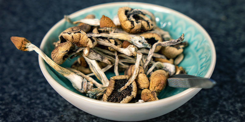 Comment Cuisiner Les Champignons Magiques - Zamnesia Blog