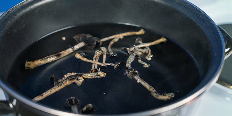 Devriez-vous cuisiner avec des champignons magiques