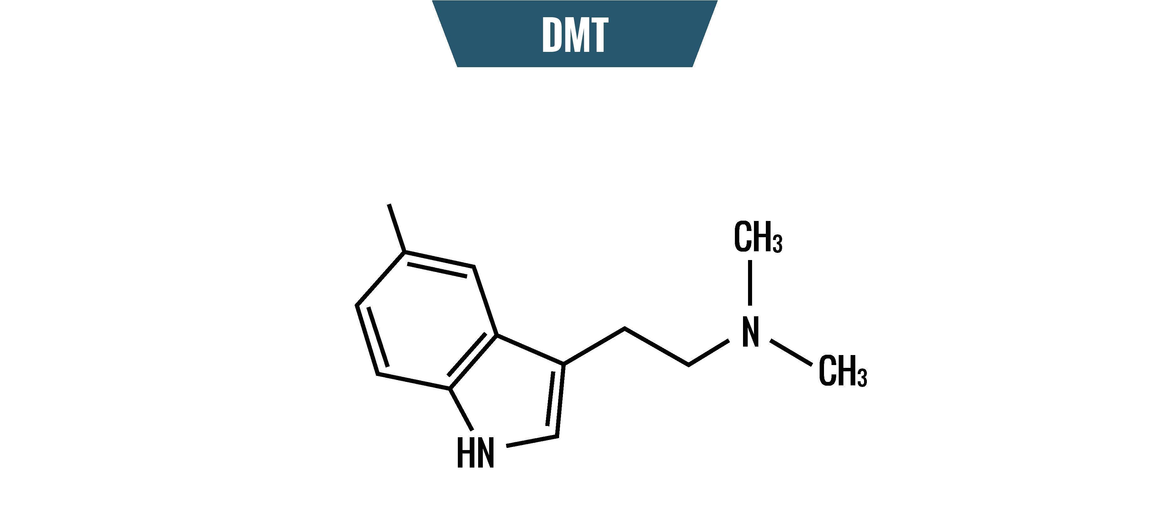 DMT