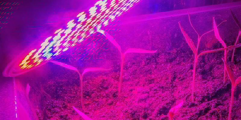 Les Besoins En Énergie De Vos Lampes De Culture