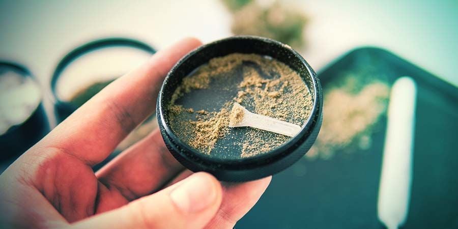 KIEF : COMMENCEZ LE 10 JUILLET AVEC LES ORIGINES DES CONCENTRÉS