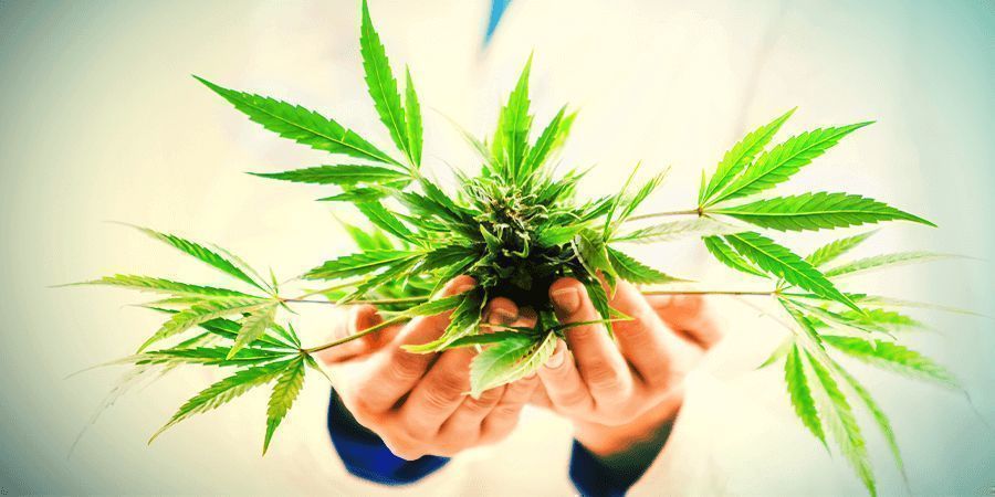PENSEZ À LA MANIÈRE DONT VOUS EXPLOITEREZ LE CBD