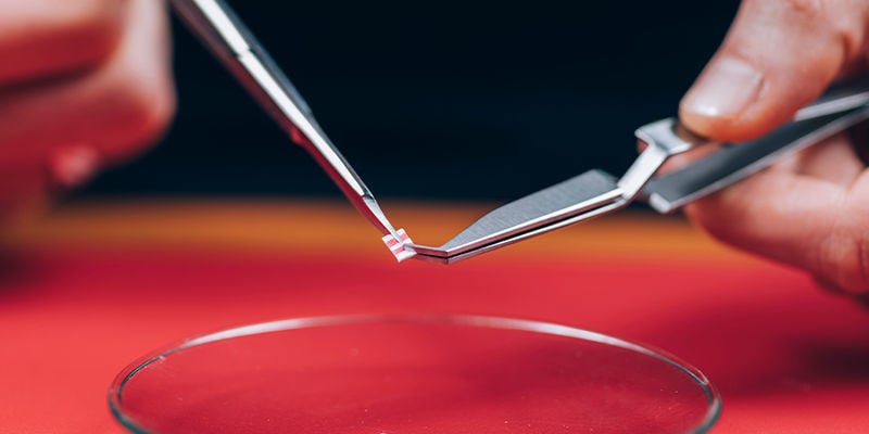 Quelles substances provoquent la mort de l’ego ?