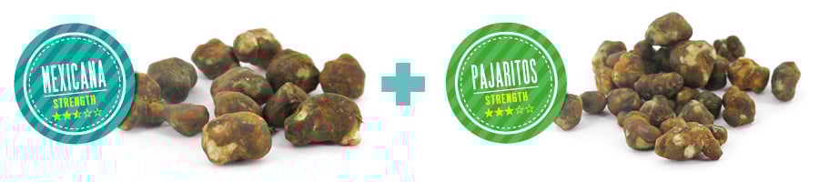 QU’EST-CE QUI REND NOTRE PACK « DUO DYNAMIQUE » DE TRUFFES MAGIQUES SI PARTICULIER ?