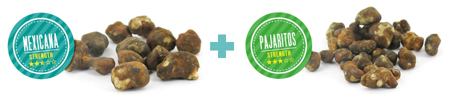 QU’EST-CE QUI REND NOTRE PACK « DUO DYNAMIQUE » DE TRUFFES MAGIQUES SI PARTICULIER ?