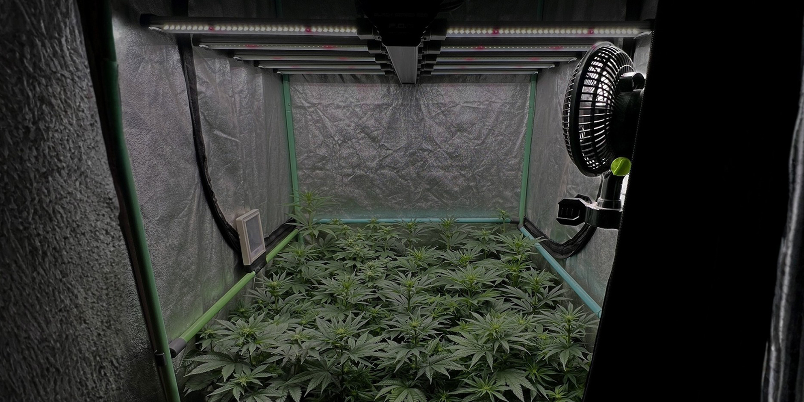 Maintenir une humidit&eacute; &eacute;quilibr&eacute;e pour &eacute;viter la moisissure