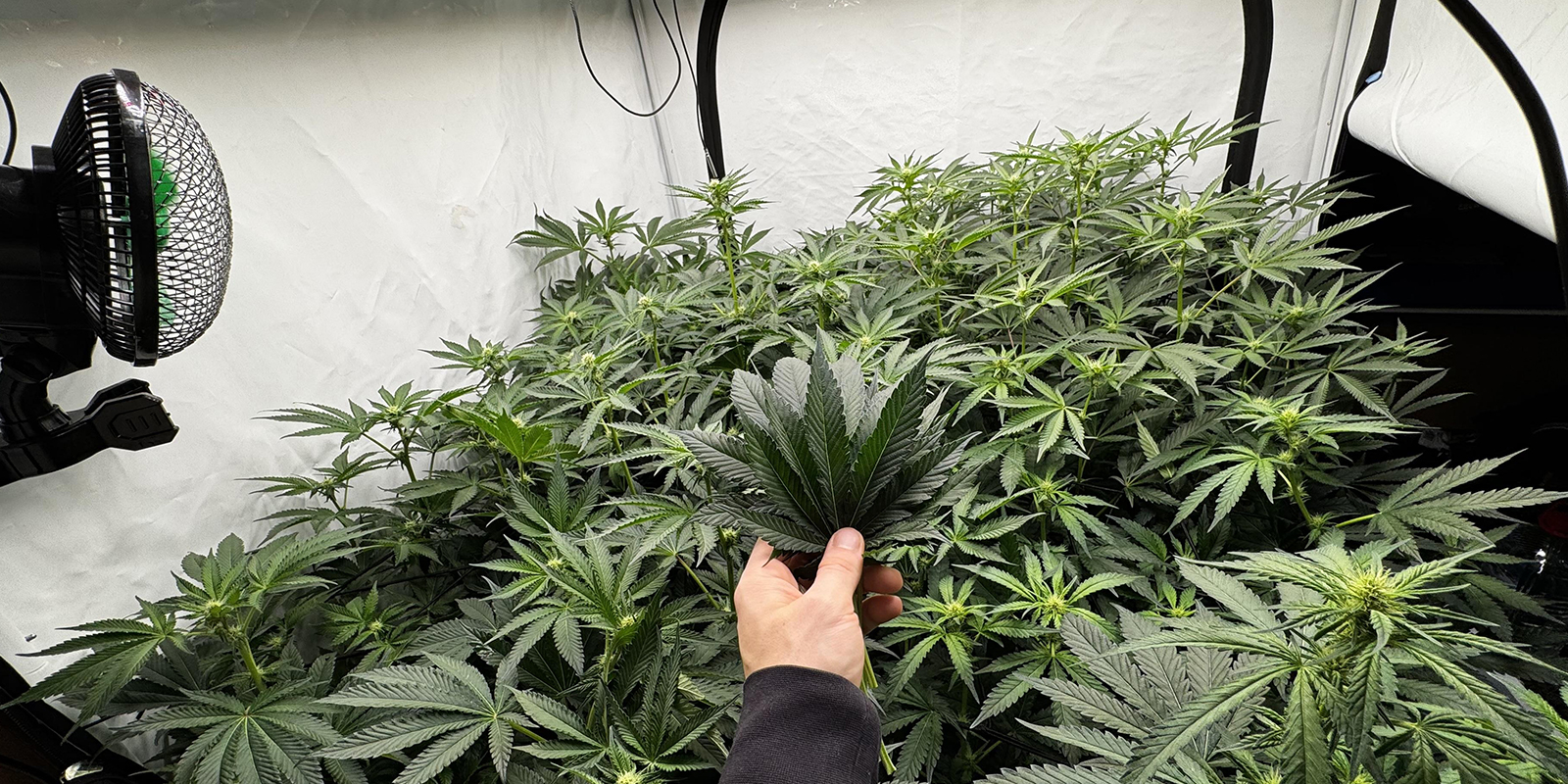 Planifier votre calendrier