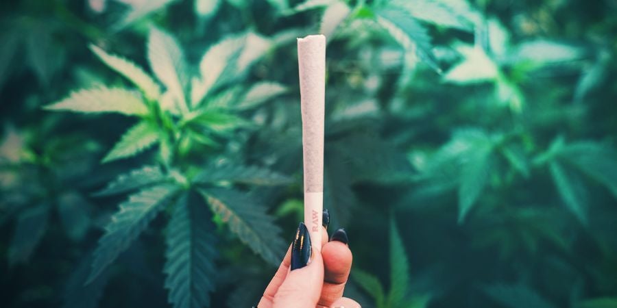 Rouler un joint à la main et à la machine : guide pas à pas -  CannaConnection