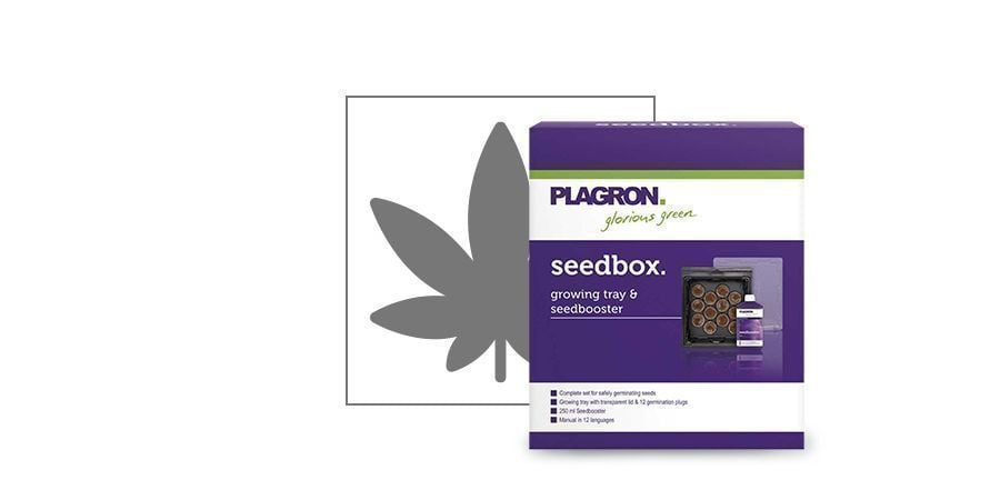 Kit De Germination Seedbox Plagron