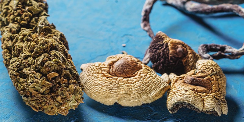 Est-ce Judicieux De Mélanger Du Cannabis Avec Des Champignons Magiques ?