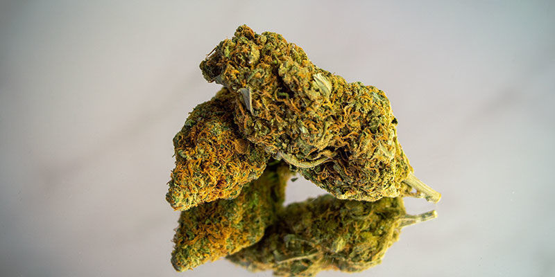 Essayez Des Variétés Riches En THC