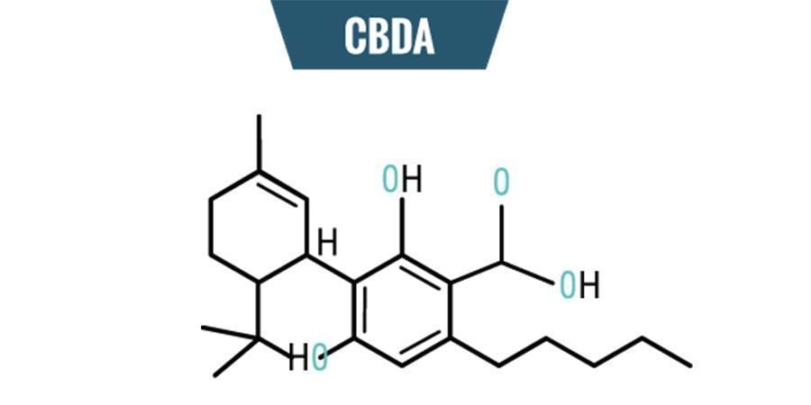 Chimie De CBDA