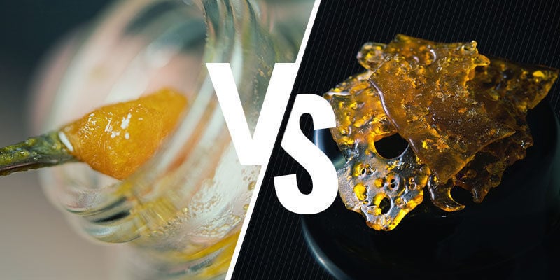 Quelle est la différence entre la live resin et les autres concentrés ?