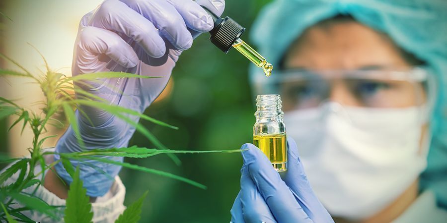 Le CBD Se Lie Aux Récepteurs Cannabinoïdes