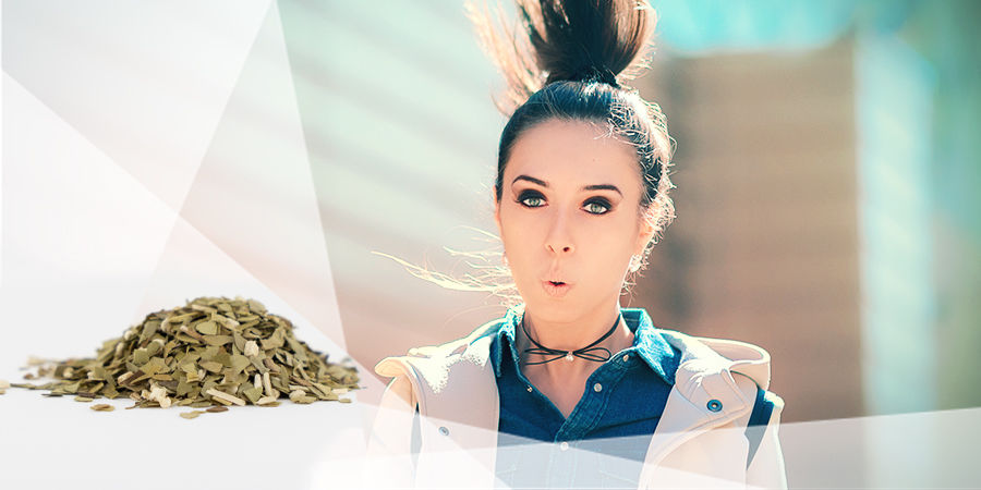 Yerba Mate