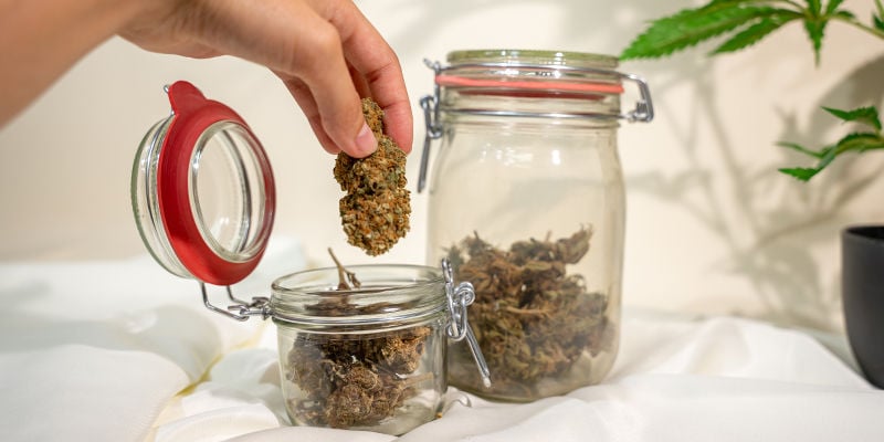 Aération Du Cannabis : Une Étape Cruciale Du Processus D’affinage