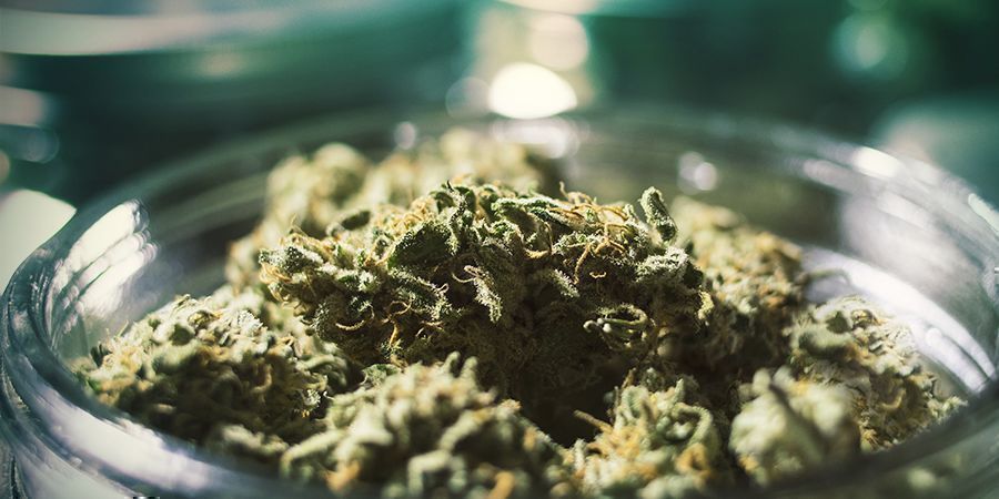 Prévention De L’humidité : Bien Stocker Votre Herbe