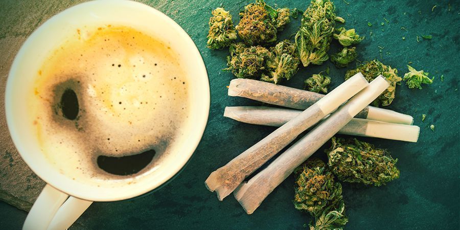 Weed The Best Dutch Coffeeshops Near The Border