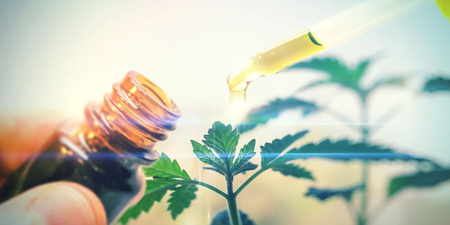 Qu’est-ce Que Le Cannabis CBD?