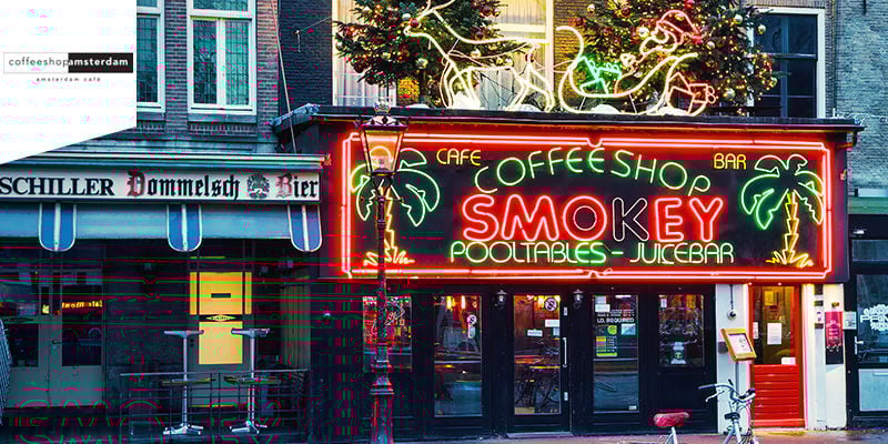 Coffeeshop Amsterdam - Comestibles Au Cannabis