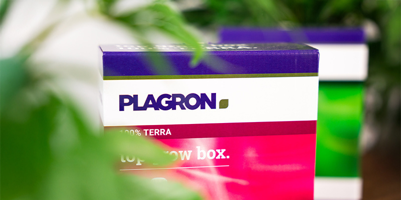 Plagron : qui sont-ils et que font-ils ?