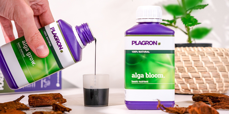 Qu'est-ce que la Top Grow Box de Plagron et pourquoi l'utiliser ?