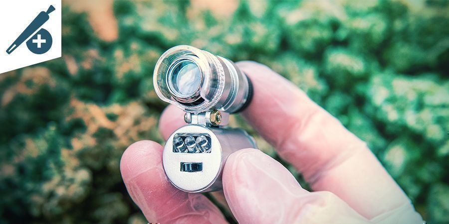 LES BIENFAITS DES MICROSCOPES POUR LES CONSOMMATEURSLES BIENFAITS DES MICROSCOPES POUR LES CONSOMMATEURS DE CANNABIS