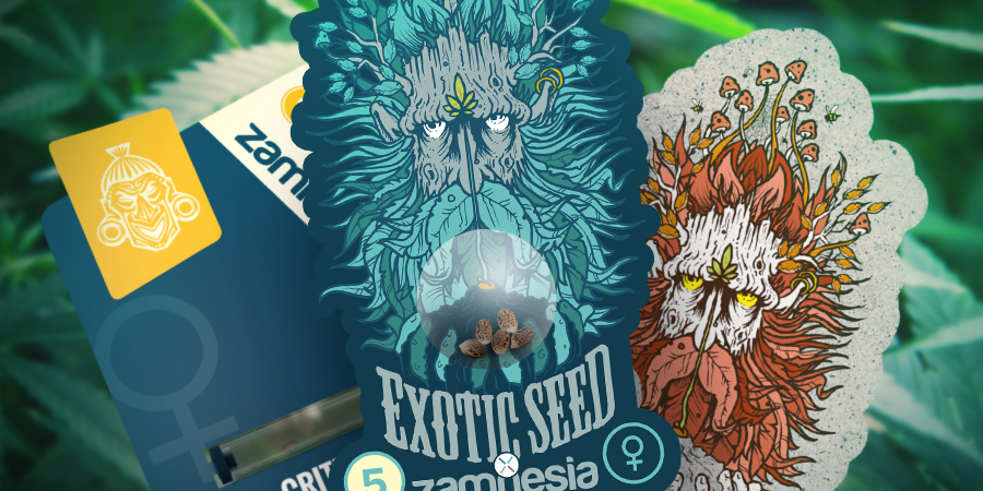 ZAMNESIA ET EXOTIC SEEDS : UNE COLLABORATION PUISSANTE
