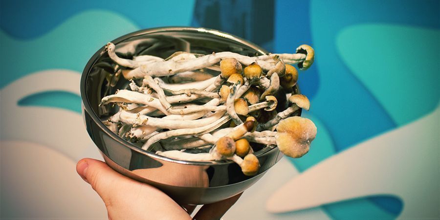 CULTIVER DES CHAMPIGNONS MAGIQUES AVEC UN KIT DE CULTURE