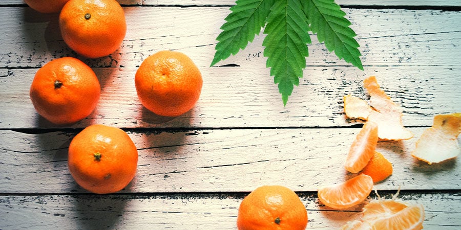 TANGERINE DREAM : SAVEURS ET EFFETS