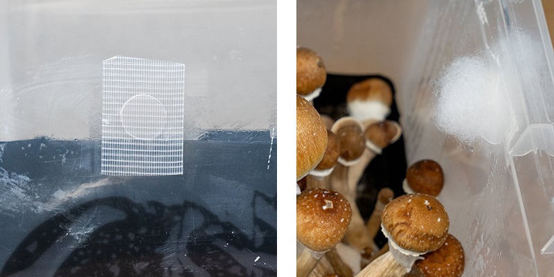 4. Bloquer le flux d’air avec du Poly-Fil