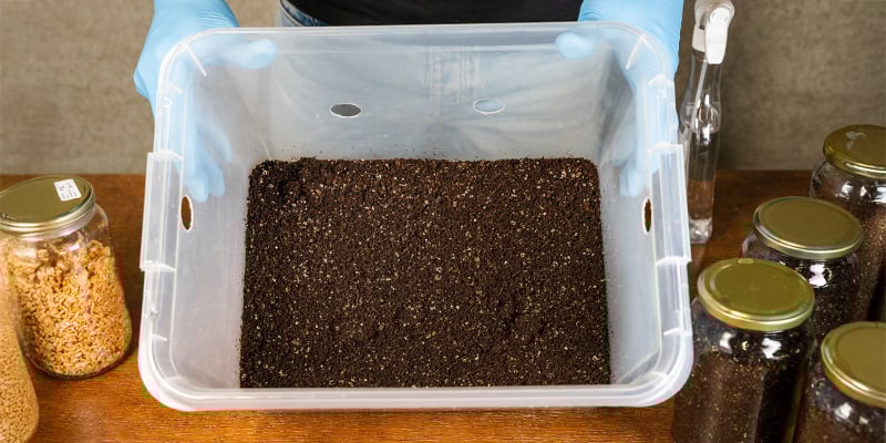 Quelle est la meilleure taille de contenant pour un monotub ?