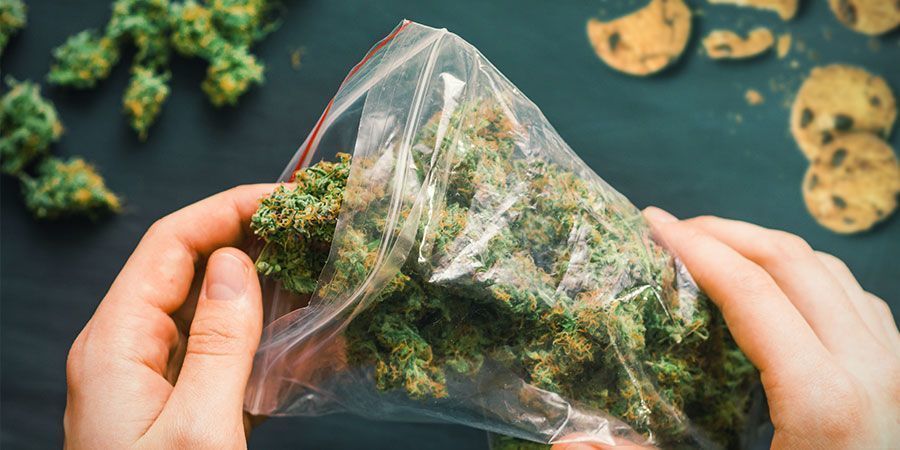 Utiliser Trop De Cannabis