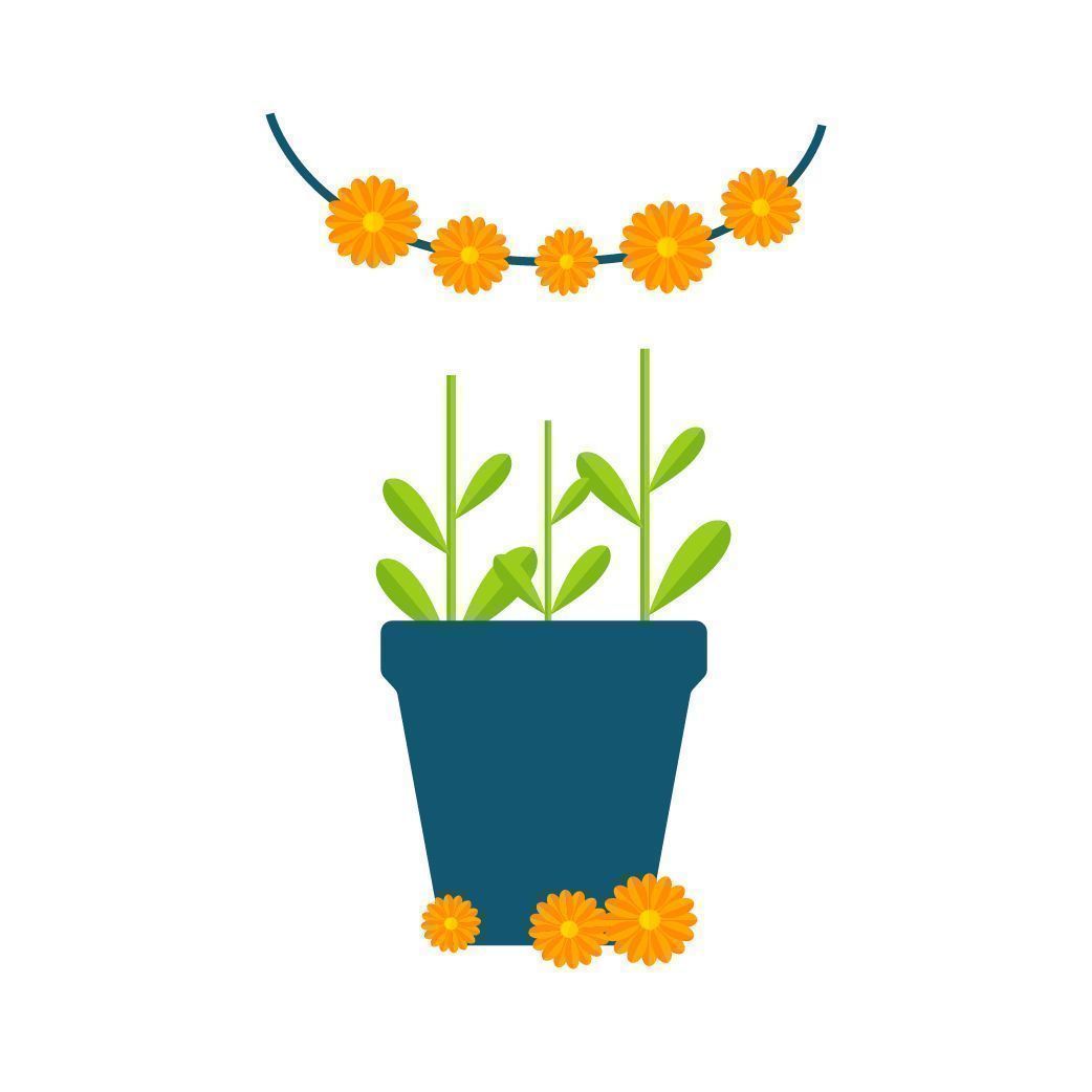 TROUVEZ LES FLEURS