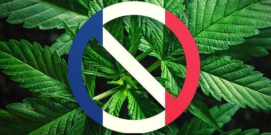 L’Histoire De La France Avec Le Cannabis