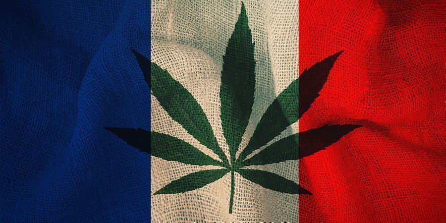 La France et Le Cannabis : Le Plan Du Comité