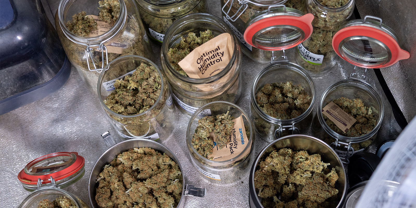 Culture intelligente, récolte généreuse Culture intelligente, récolte généreuse