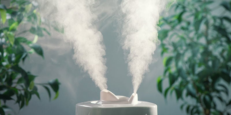 Pourquoi Vous Devriez-Utiliser Un Humidificateur Dans Une Culture