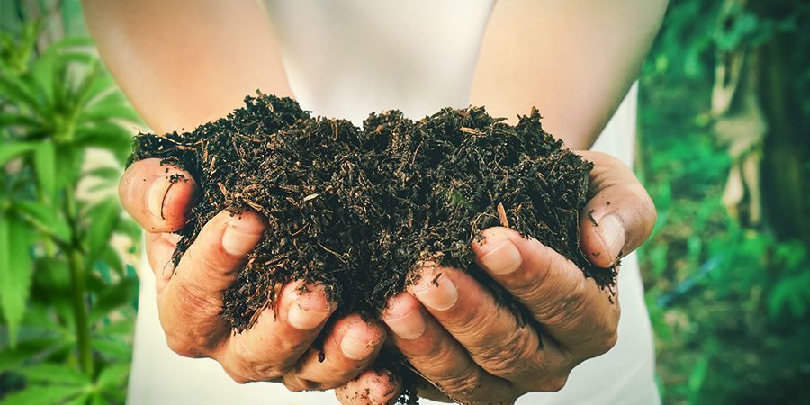 Comment Faire Son Propre Compost Pour Le Cannabis