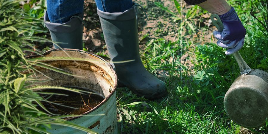 Comment Utiliser Le Compost Fait Maison Pour Votre Culture De Cannabis