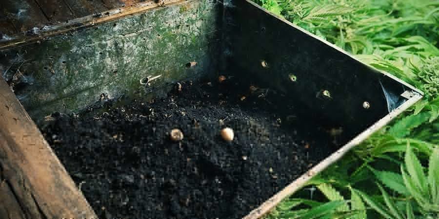 Signes Que Votre Compost Est Prêt