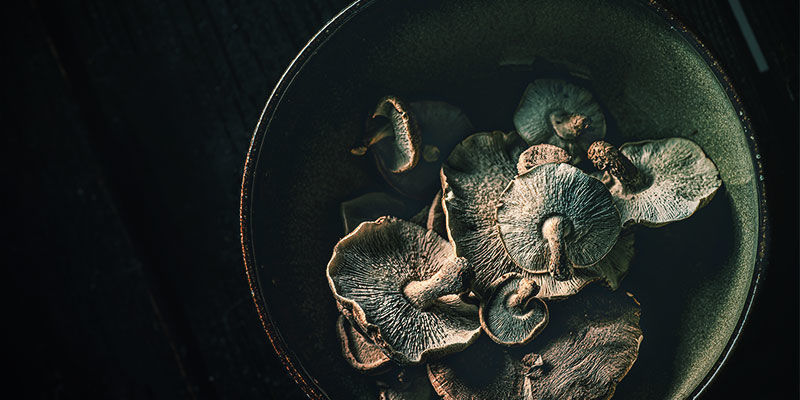 Allons À L’Essentiel : Les Champignons Magiques Créent-Ils Une Dépendance ?