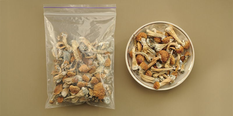 Comment conserver les champignons magiques frais et secs ?
