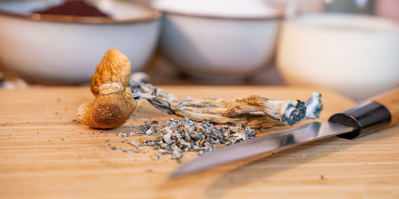 Préparation et facilité d’utilisation des champignons magiques