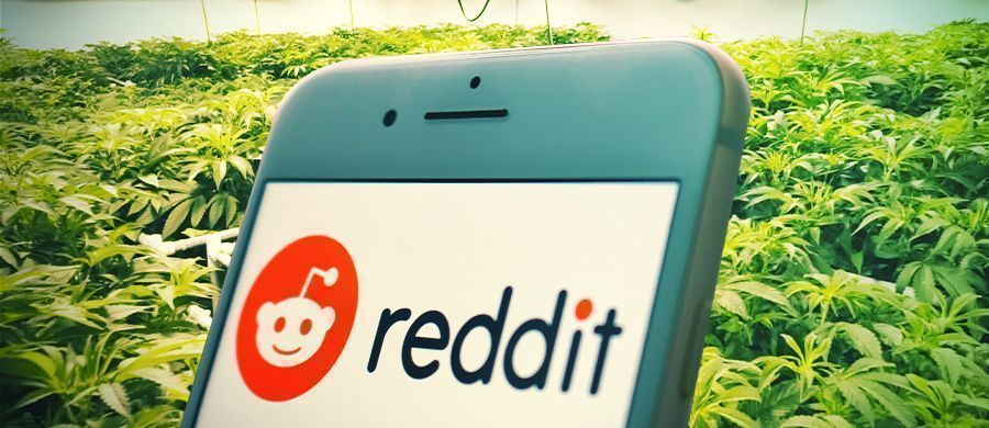 Pourquoi Et Comment Les Fumeurs Peuvent Utiliser Reddit Comme Source D’Information Sur L’Herbe