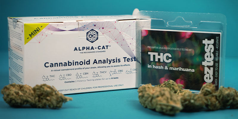 Comment Tester Les Niveaux De THC & CBD Dans Les Produits Au Cannabis