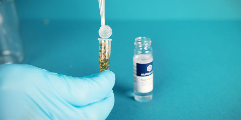 Mini Kit Test de Cannabinoïde Alpha-Cat: Extrayez les cannabinoïdes dans le liquide